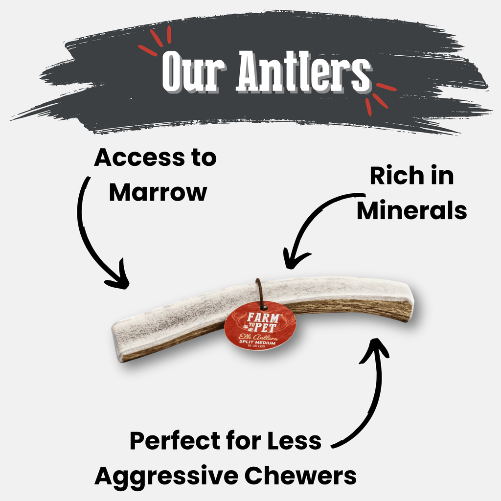 Elk Antler Dog Chews | All-Natural Whole and Split Elk Antler Chews for Dogs