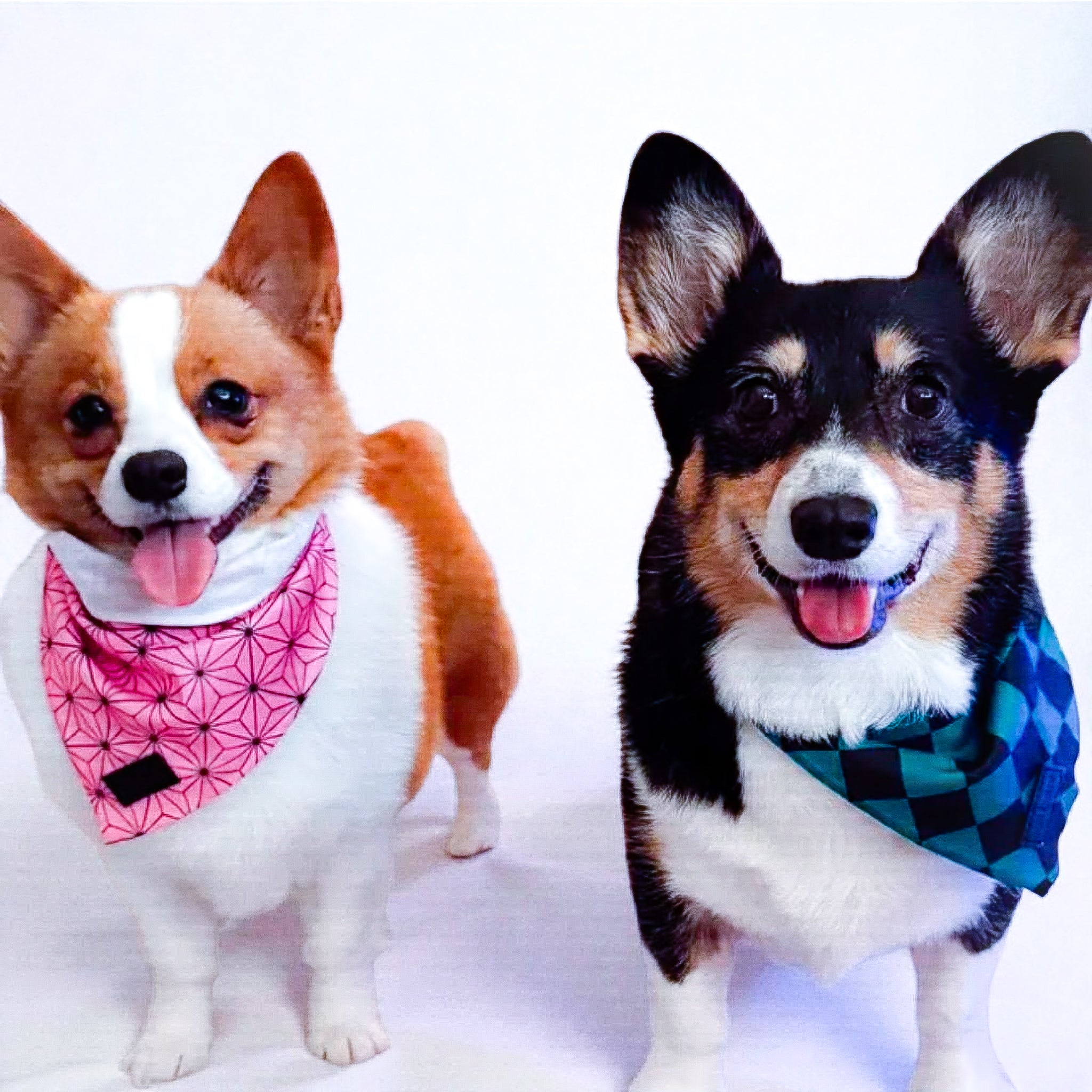 Asanoha Cooling Bandana