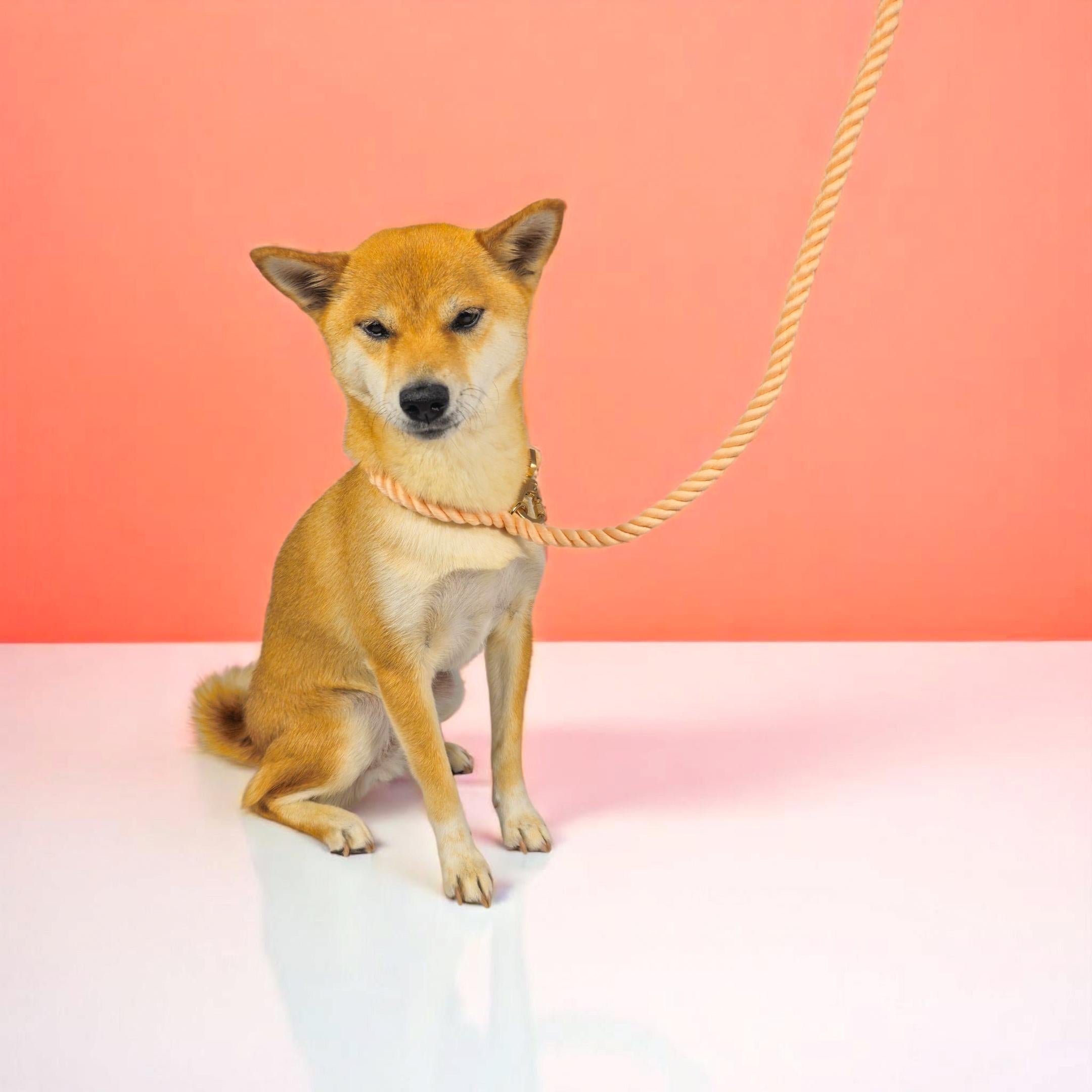 Rope Leash